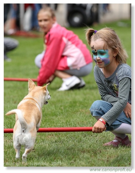 Agility - Bratislava - 2011