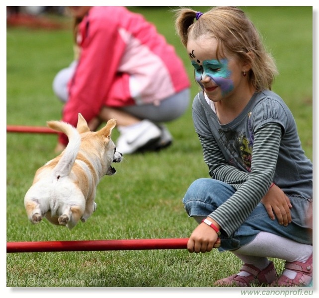 Agility - Bratislava - 2011