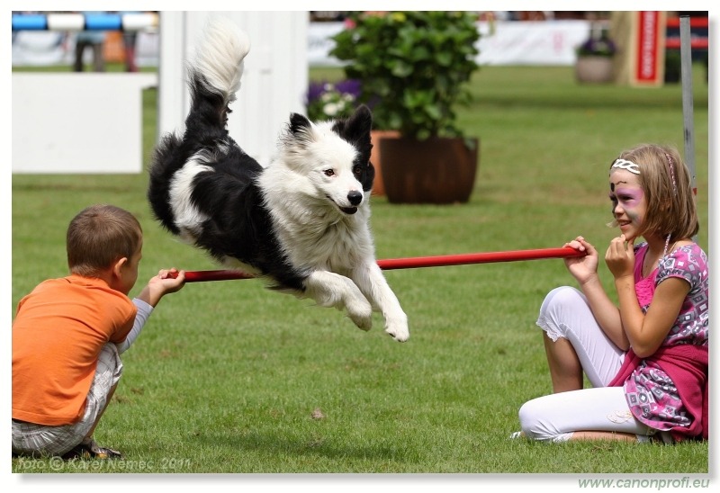 Agility - Bratislava - 2011