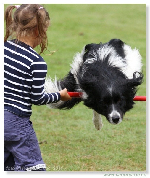 Agility - Bratislava - 2011