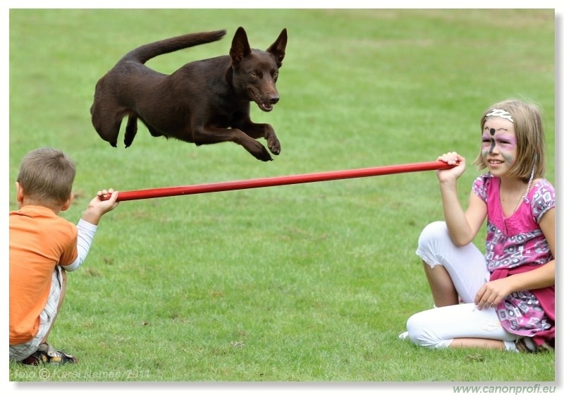 Agility - Bratislava - 2011