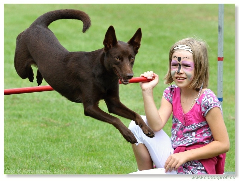 Agility - Bratislava - 2011