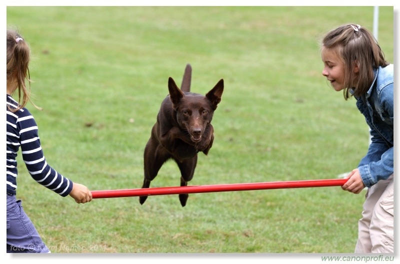 Agility - Bratislava - 2011