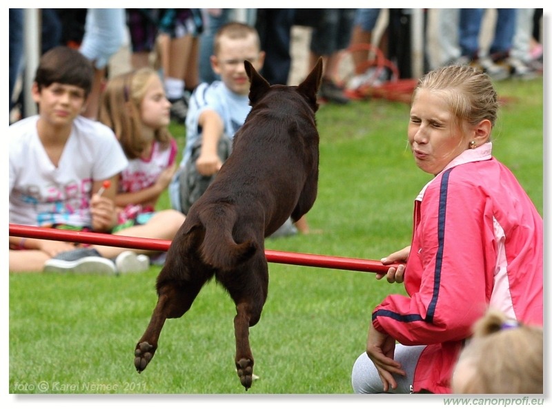 Agility - Bratislava - 2011