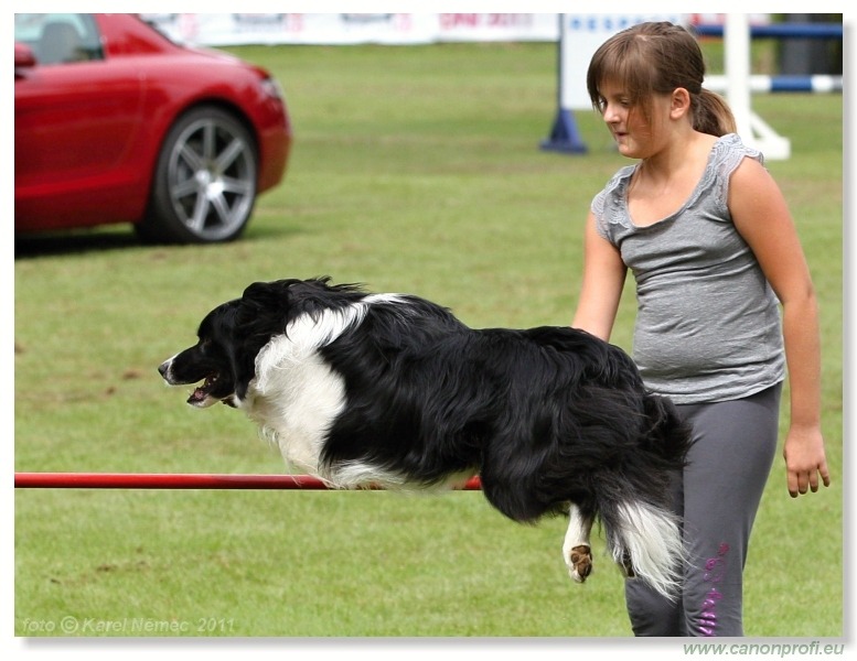 Agility - Bratislava - 2011