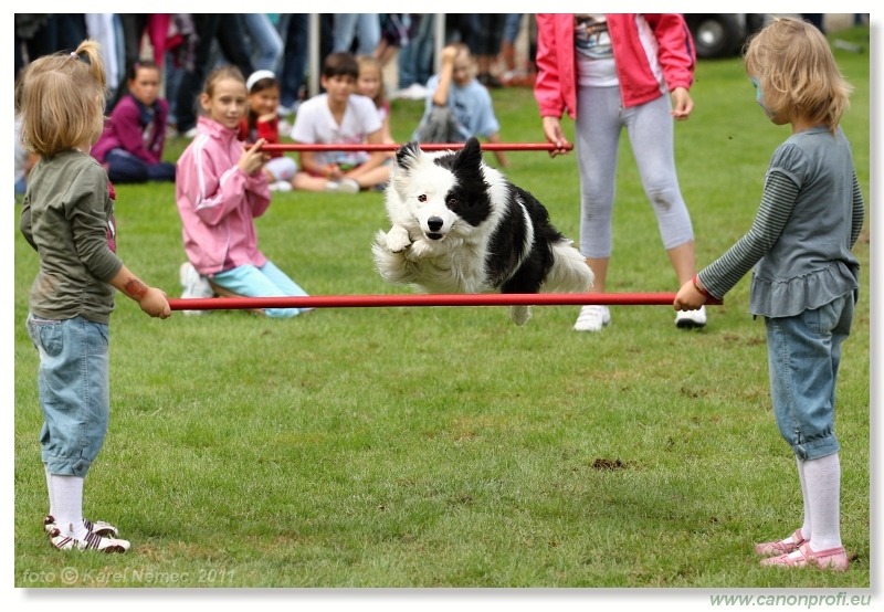 Agility - Bratislava - 2011