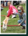 Agility Show