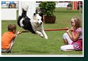 Agility Show