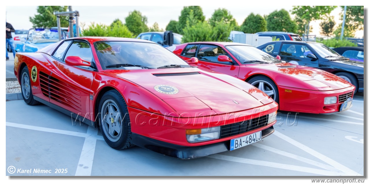 500 km SLOVENSKCH FIVA RALLY 2025 - Aut snov z plagtov