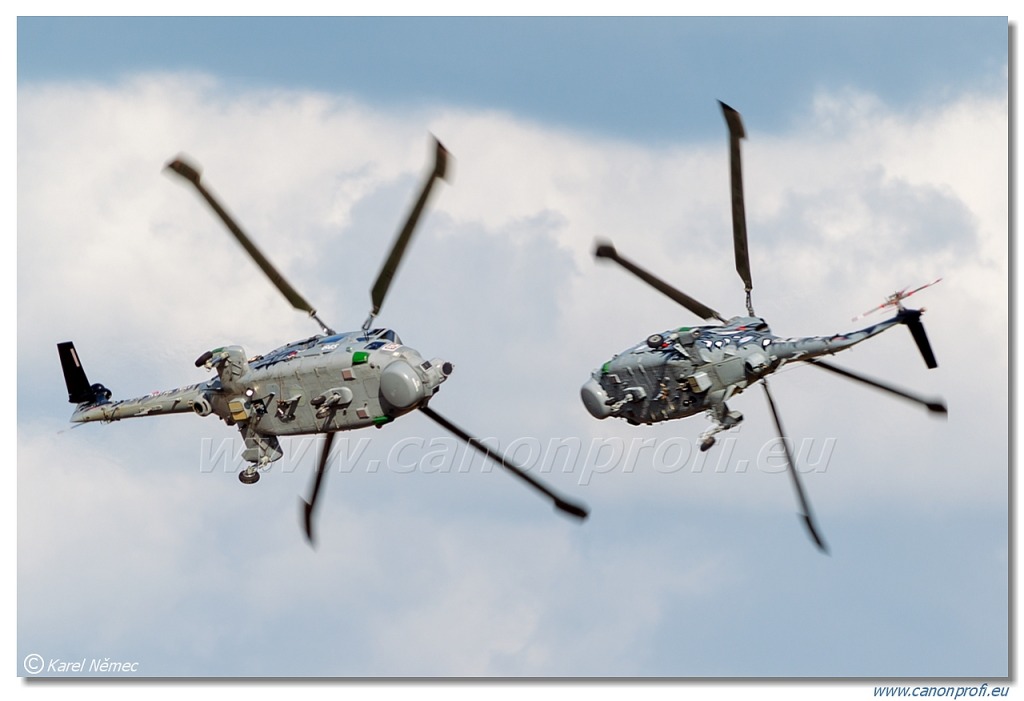 Black Cats - 2x Westland Lynx