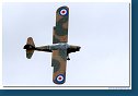 Auster AOP6 
