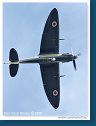 Supermarine Seafire F XVII