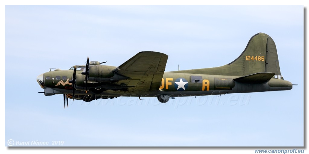 Air Festival 2019 - B-17 Preservation Society