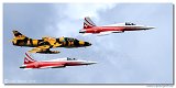 Patrouille Suisse - Northrop F-5E Tiger II 