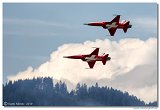 Patrouille Suisse - Northrop F-5E Tiger II 