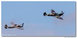 Supermarine Spitfire Mk XVIe + Focke Wulf FW-190 A8/M 