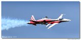 Patrouille Suisse - Northrop F-5E Tiger II 