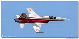 Patrouille Suisse - Northrop F-5E Tiger II 