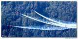 Patrouille Suisse - Northrop F-5E Tiger II 