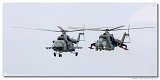 Mil Mi-171 + Mi-24V 