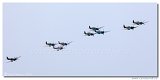 Spitfire Formation - 18x 