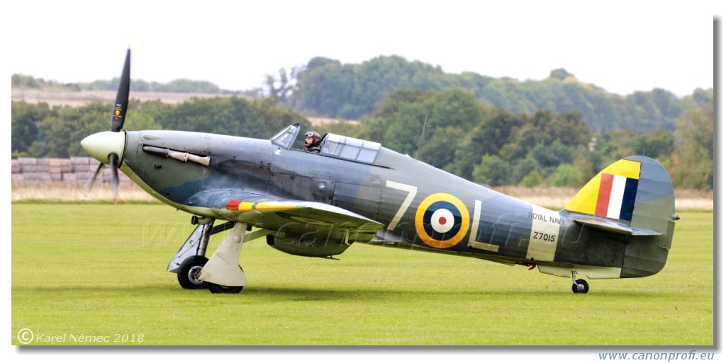 Duxford 2018 - RAF 100