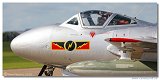 De Havilland Vampire T.55  