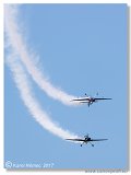 Flying Bulls Aerobatics Team 