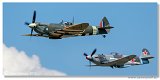 warbirds 