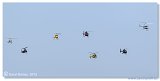 Helicopter Show 2015 