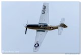 North American TF-51 Mustang  D-FTSI  