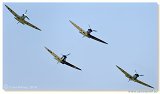 Spitfire formation 