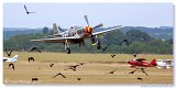 Flying Legends 