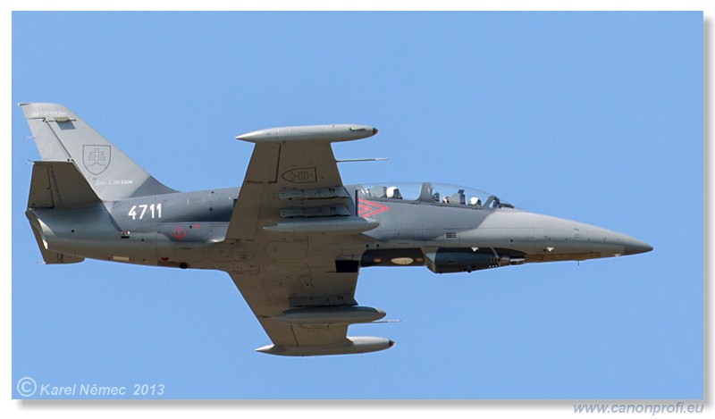 Medzinrodn leteck dni Slia 2013