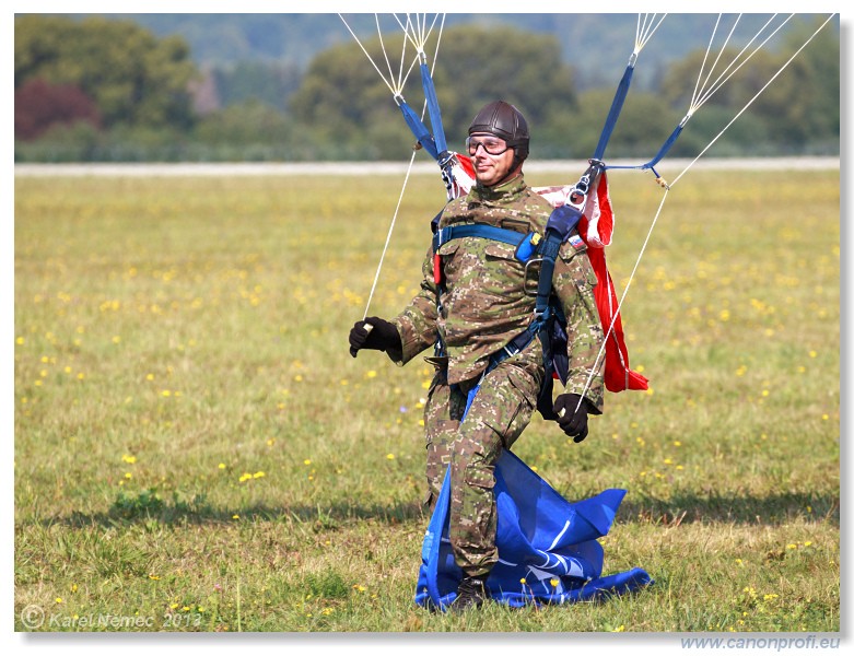 Medzinrodn leteck dni Slia 2013