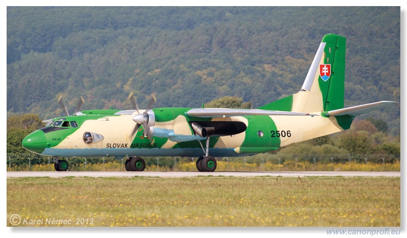 Medzinrodn leteck dni Slia 2013