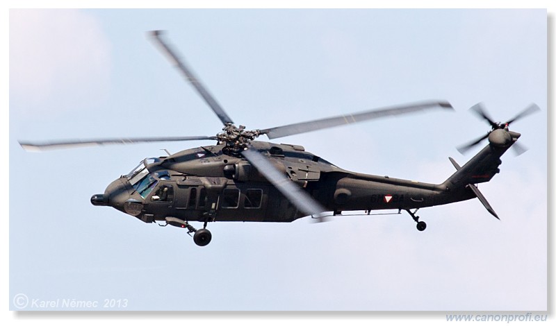 Medzinrodn leteck dni Slia 2013