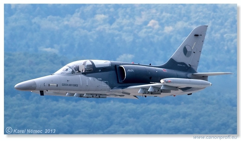 Medzinrodn leteck dni Slia 2013