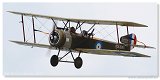 Sopwith Strutter 
