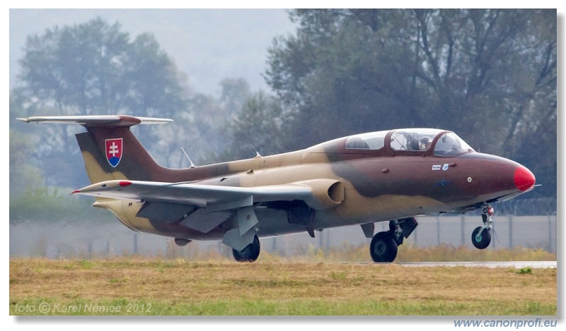 Medzinrodn leteck dni Slia 2012