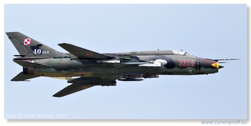 Medzinrodn leteck dni Slia 2012