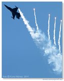 AirPower 2011 