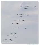 Flying Legends 2011  