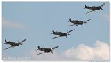 Supermarine Spitfires 
