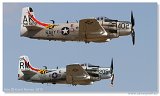 Douglas A-1A Skyraider 