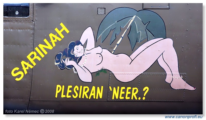  Flying Legends Duxford 2008