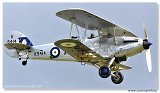 Hawker Hind 