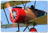 Sopwith Camel F.1 - Ltajc cirkus 