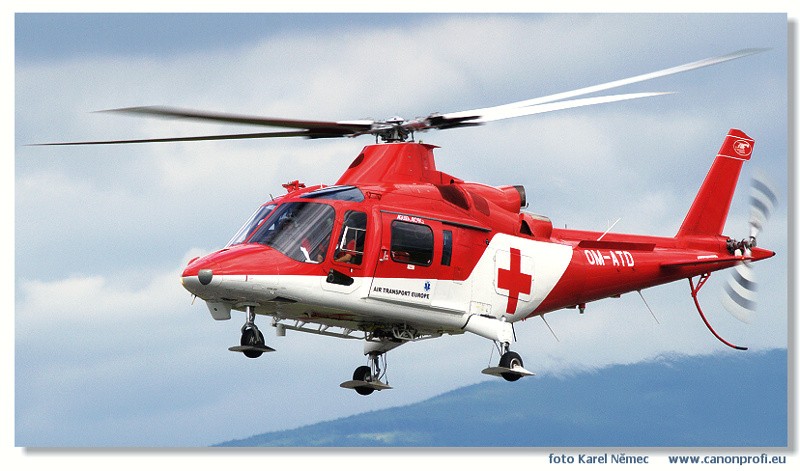  2007 - NLD Pieany 2007