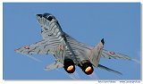 MiG-29 UB 